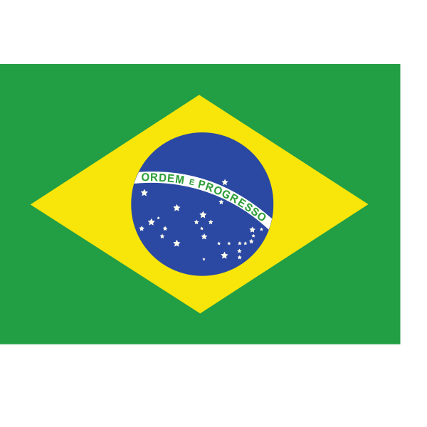 Trocar idioma